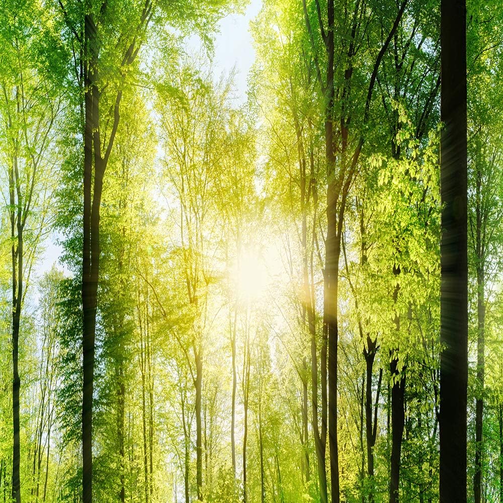 Feeby - Wandbilder Wohnzimmer 120x80 cm, Deko Paneel Bilder, Bilder für Schlafzimmer, Echter Gemalte