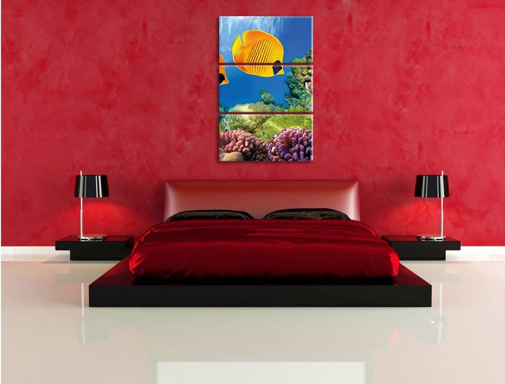 Pixxprint Fische Korallenriff als Leinwandbild/Grösse: 3 Teilig (120x80) cm/Wandbild/Kunstdruck/fert
