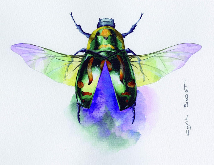 Clairefontaine 975952C - Aquarellblock Fontaine DIN A3 29,7x42cm, mit 12 Bogen 300g Torchon/Rau, zwe