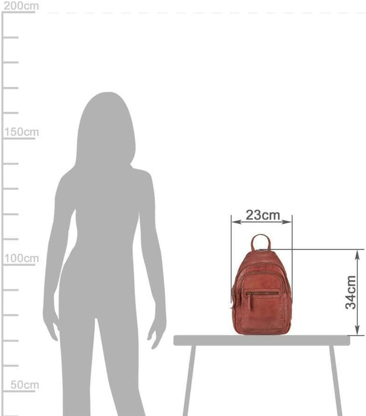 Bear Design Adult sonstige