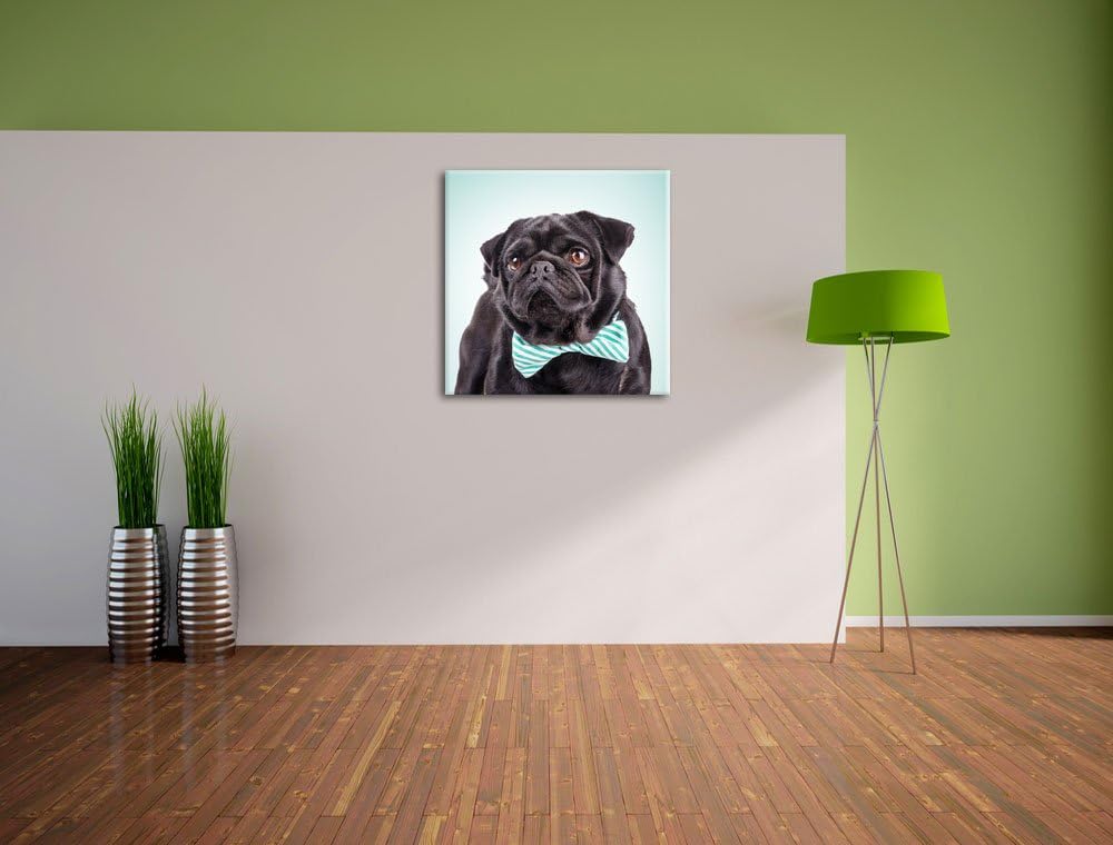 Lustiger Mops mit Fliege, Format: 70x70 auf Leinwand, XXL riesige Bilder fertig gerahmt mit Keilrahm