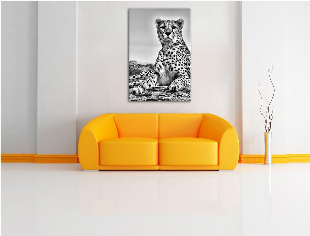 Pixxprint Gepard in Savanne als Leinwandbild | Grösse: 100x70 | Wandbild| Kunstdruck | fertig bespan