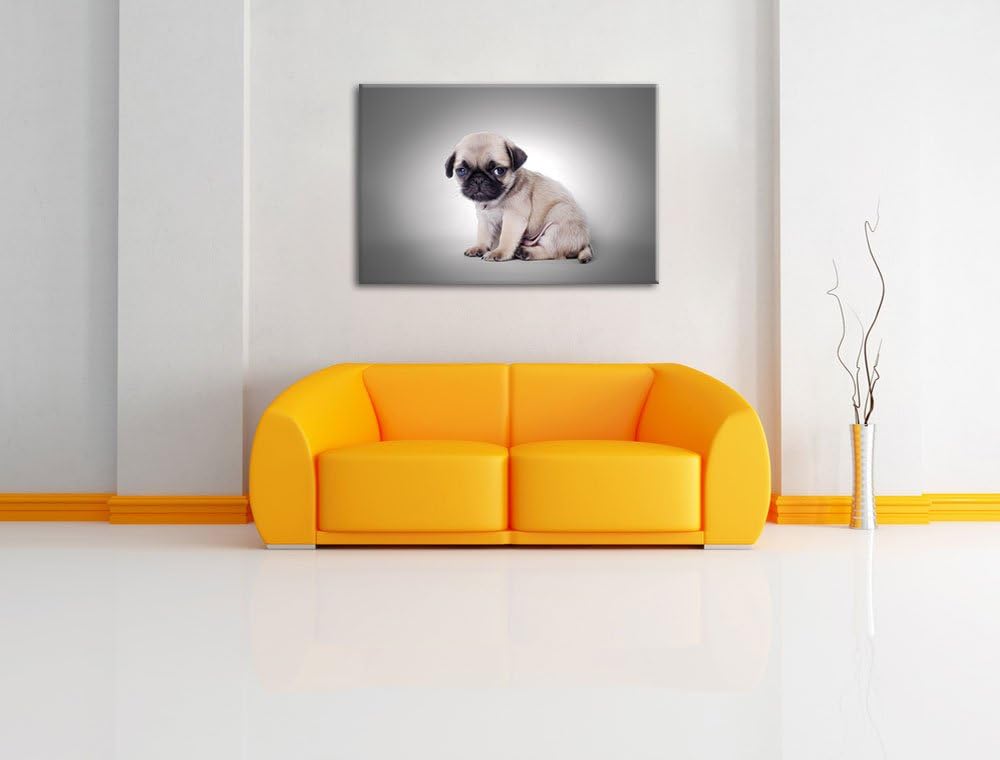 sitzender Mopswelpe vor grauem Hintergrund schwarz/weiss Format: 100x70 auf Leinwand, XXL riesige Bi