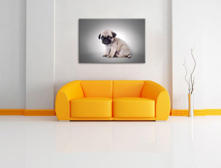 sitzender Mopswelpe vor grauem Hintergrund schwarz/weiss Format: 100x70 auf Leinwand, XXL riesige Bi