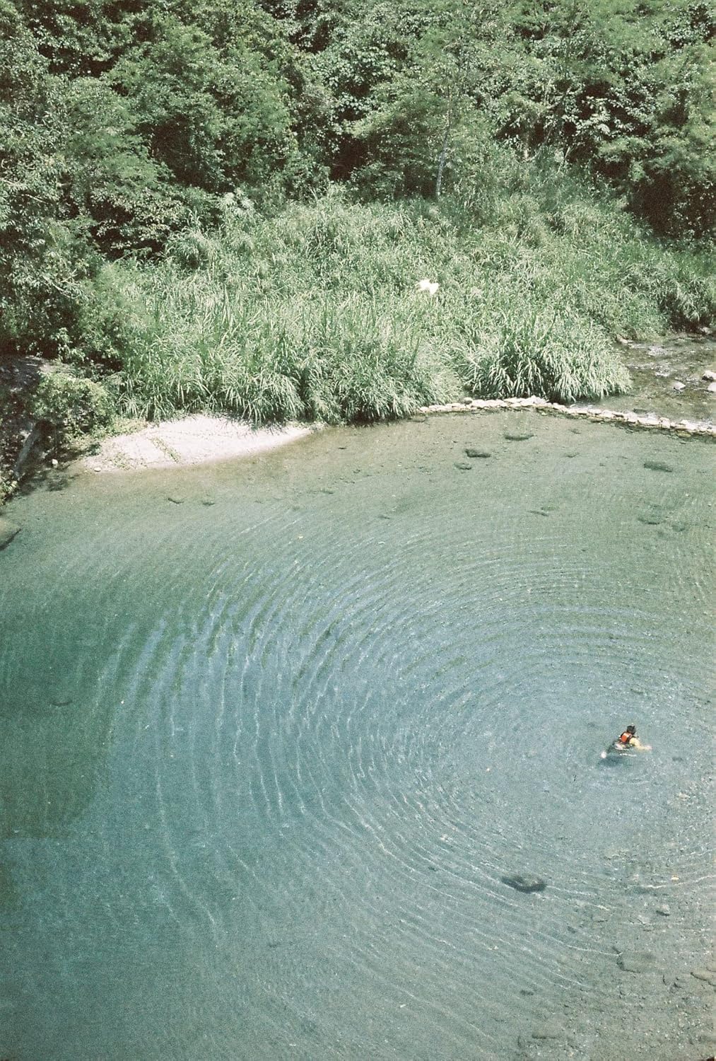 RETOCOLOR Aqua 400 35 mm Farbnegativfilm, 27EXP, ISO400, C-41 Verarbeitung, DX-codiert, Retro-Farbe,