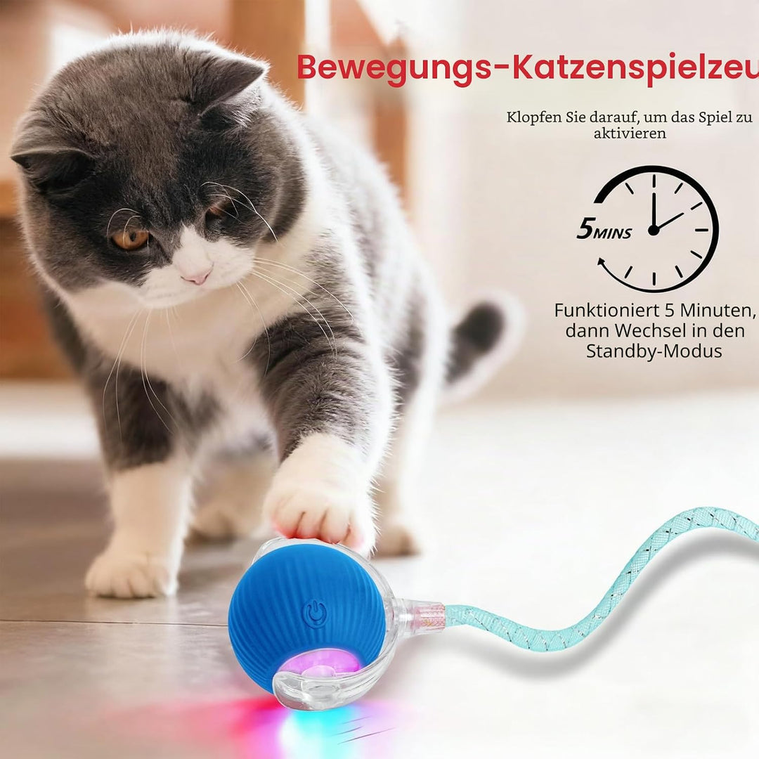 Interaktives Katzenspielzeug，Lot de 2 Katzenspielzeug，Katzenspielzeug Ball Mit Einem Blinkenden und