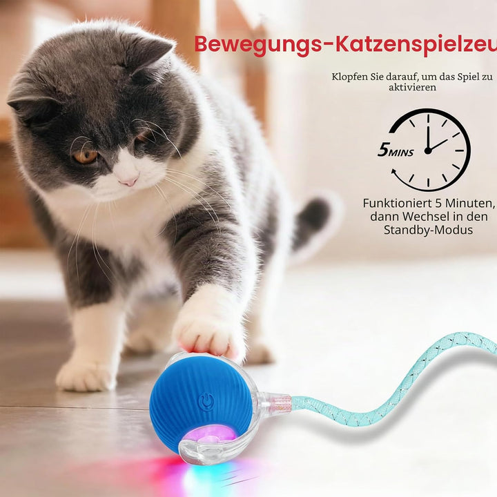 Interaktives Katzenspielzeug，Lot de 2 Katzenspielzeug，Katzenspielzeug Ball Mit Einem Blinkenden und