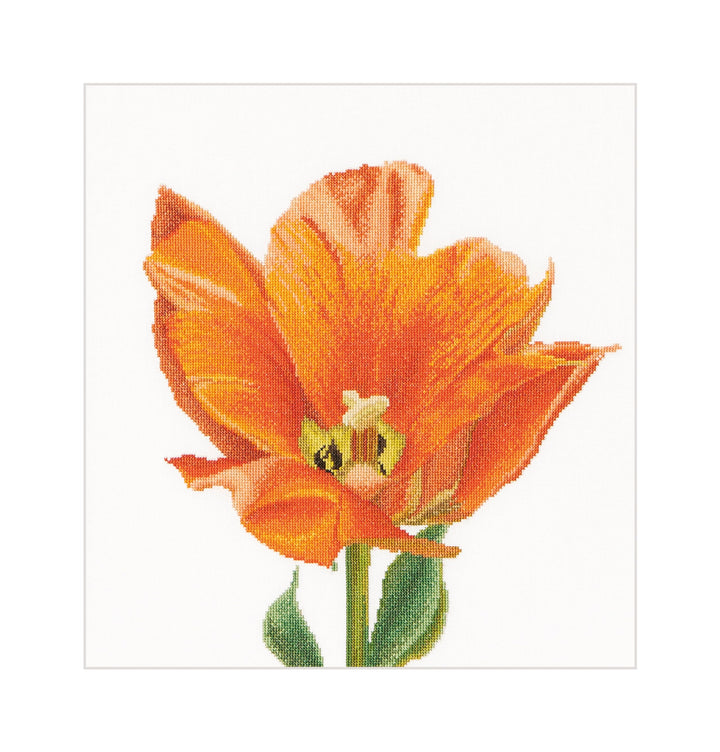 Thea Gouverneur - Kreuzstich-Set - Orange Triuph Tulpe - Leinen - 32 Count - Für Erwachsene - 523 34