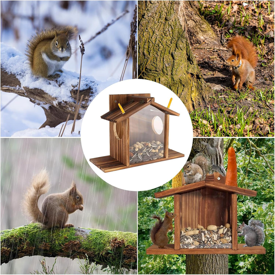 Eichhörnchen Futterhaus Eichhörnchen Haus Eichhörnchen Futterstation Wetterfest aus Verschraubtem mi