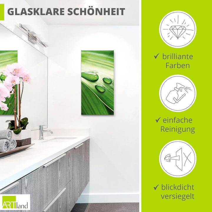 ARTland Glasbilder Wandbild Glas Bild einteilig 30x60 cm Hochformat Natur Pflanzen Blätter Wassertro
