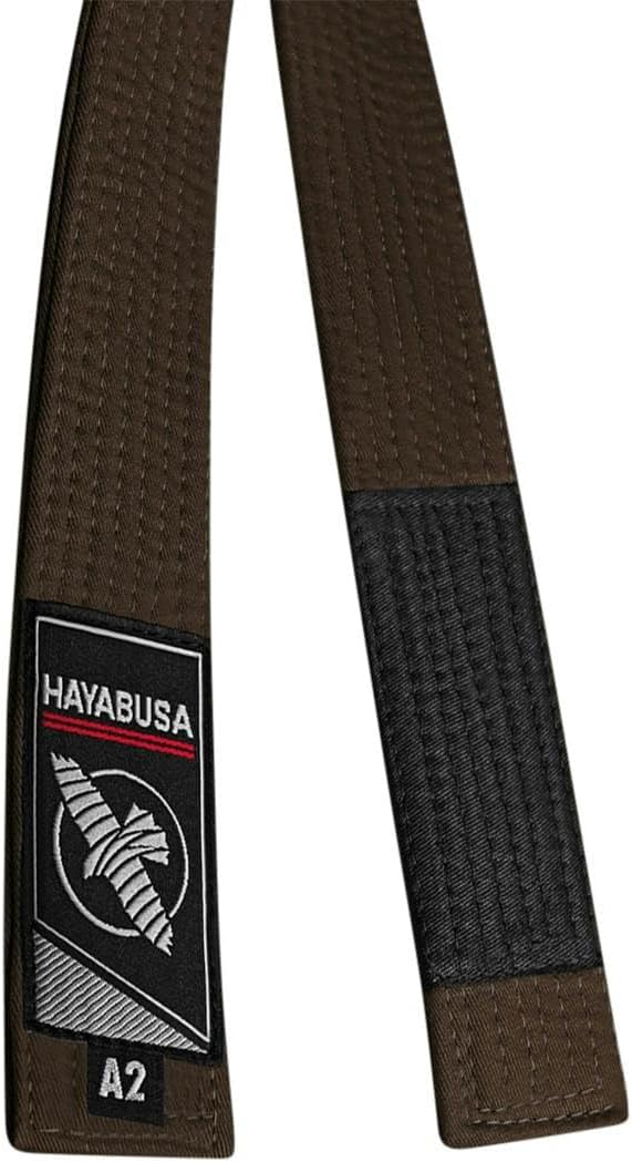 Hayabusa A3 Braun, A3 Braun