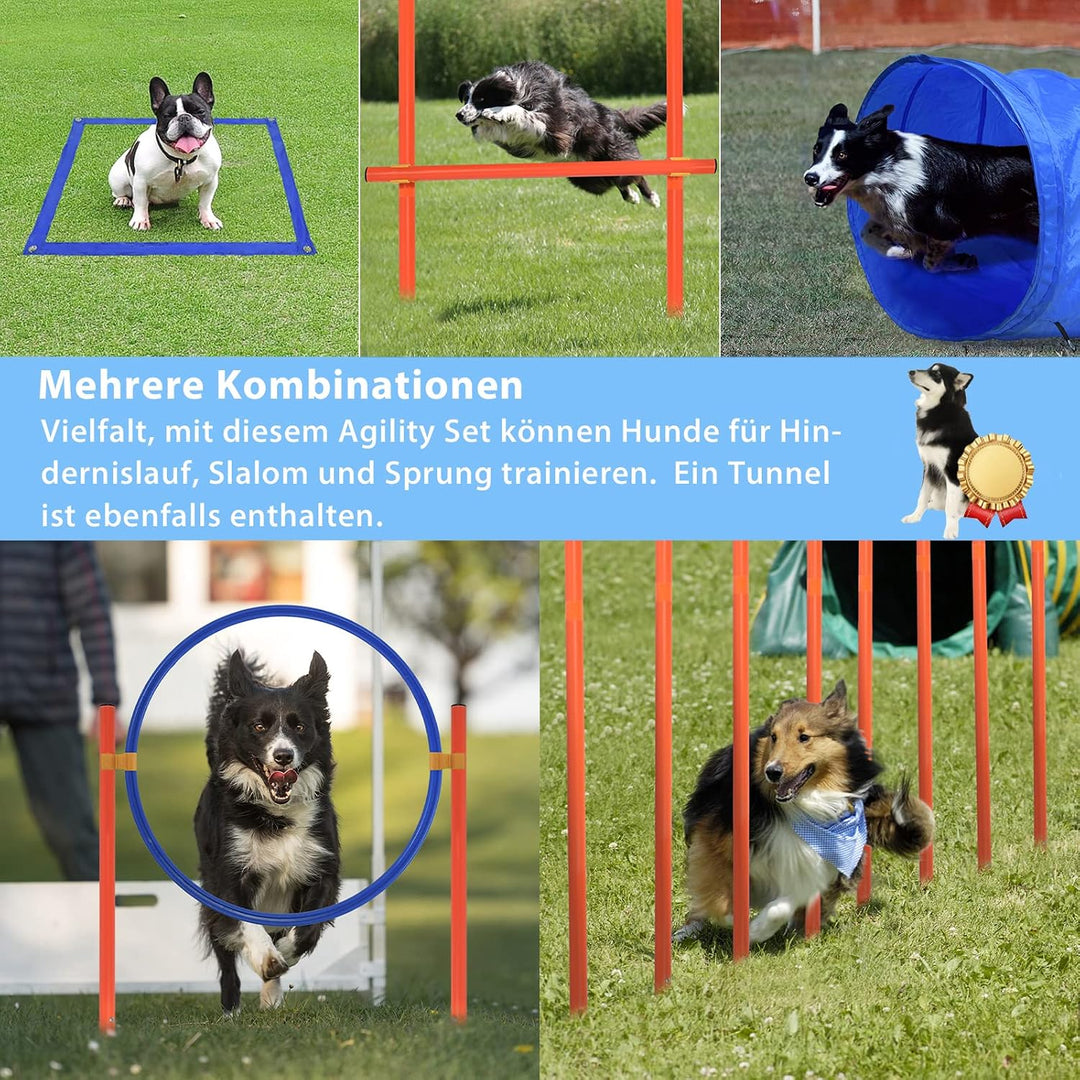 NAIZY Agility Set Hunde Gross Klein Beweglichkeit Trainings Set mit Hundetunnel &amp; Slalomstangen &amp; Ei