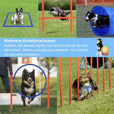 TRMLBE Agility Set Hunde Agility-Ausrüstung Verstellbare Höhe mit Sprungringe, Tunnel, Slalom-stange