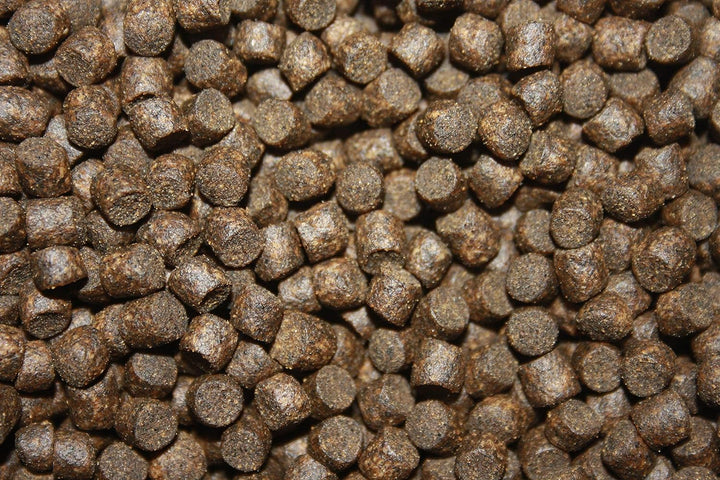 Koifutter Sinkfutter Koi Winterfutter sinkende Koi Pellets kräfteschonend Energiefutter für Koi mit