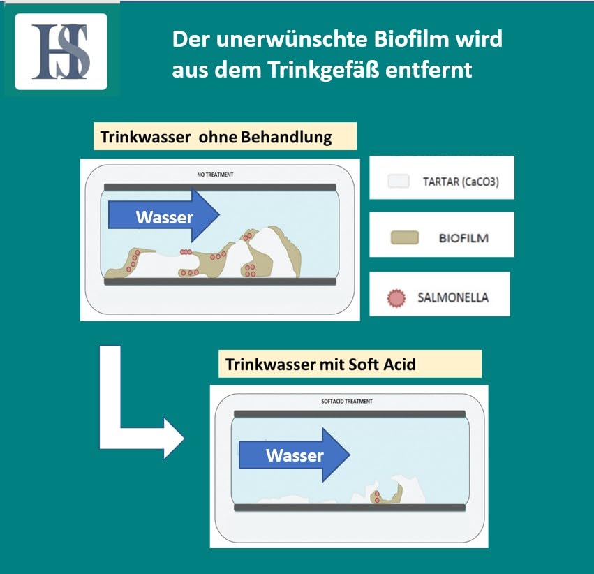 H&S Soft Acid IV+E 1000ml - Trinkwasserzusatz u.a. gegen E.Coli und Salmonellen bei Geflügel & Taube