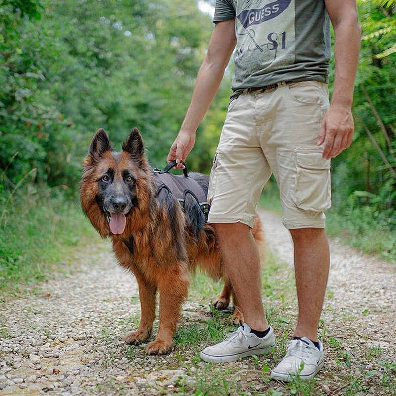 Ferplast Ergonomisches Hundegeschirr Grosse Hunde ERGOTREKKING Small, Geschirr Hund Sechs Verschlüss