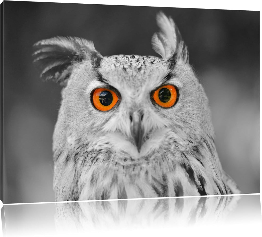 süsser Eulen Kauz schwarz/weiss Format: 100x70 auf Leinwand, XXL riesige Bilder fertig gerahmt mit K