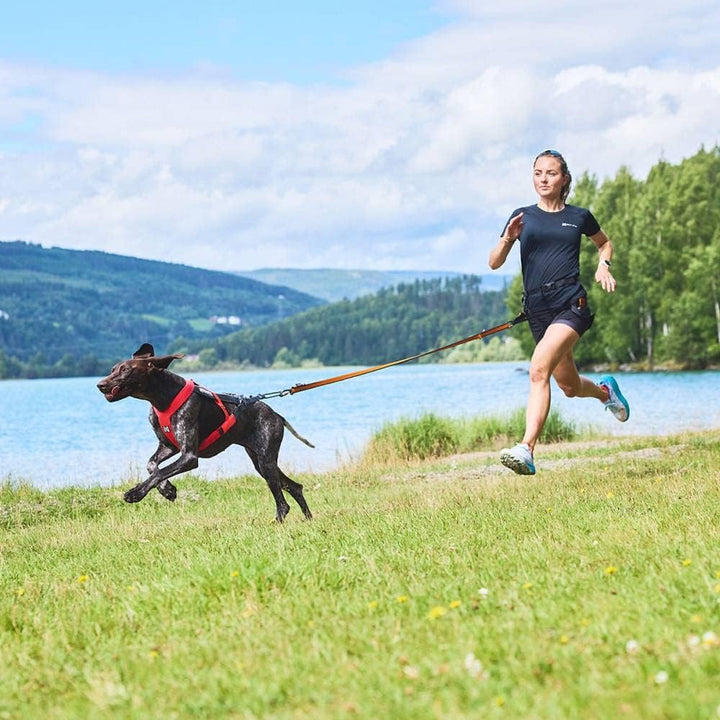 Non-stop dogwear FREEMOTION Harness 5.0 |111| Hundegeschirr für alle Sportarten, Grösse:5, 5