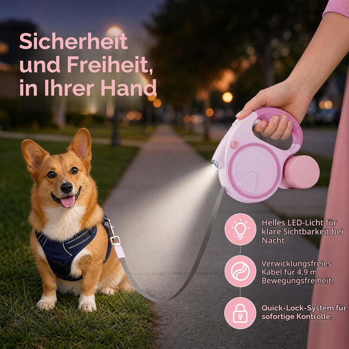 Hundeleine mit LED 5m, Rollleine für Hunde bis 10-25kg, Hundeleine Ausziehbar mit rutschfest Griff,