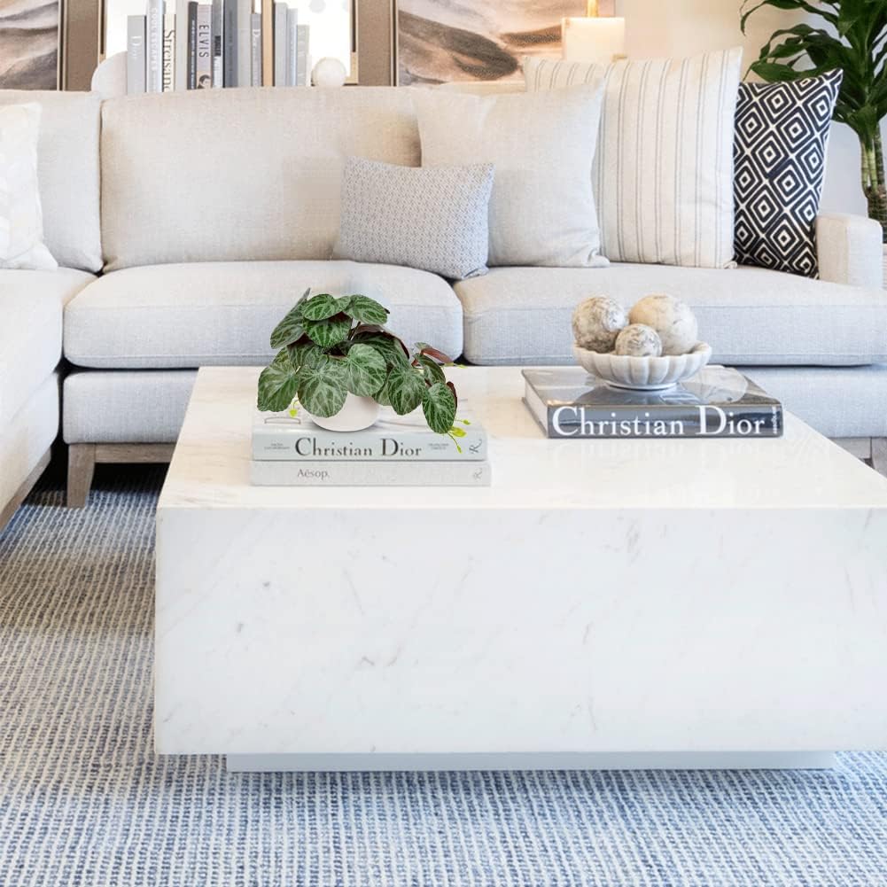 3er-Set Kunstpflanze Hängend Deko Pflanzen im Keramiktopf Mini Kunstpflanze Monstera und Philodendro