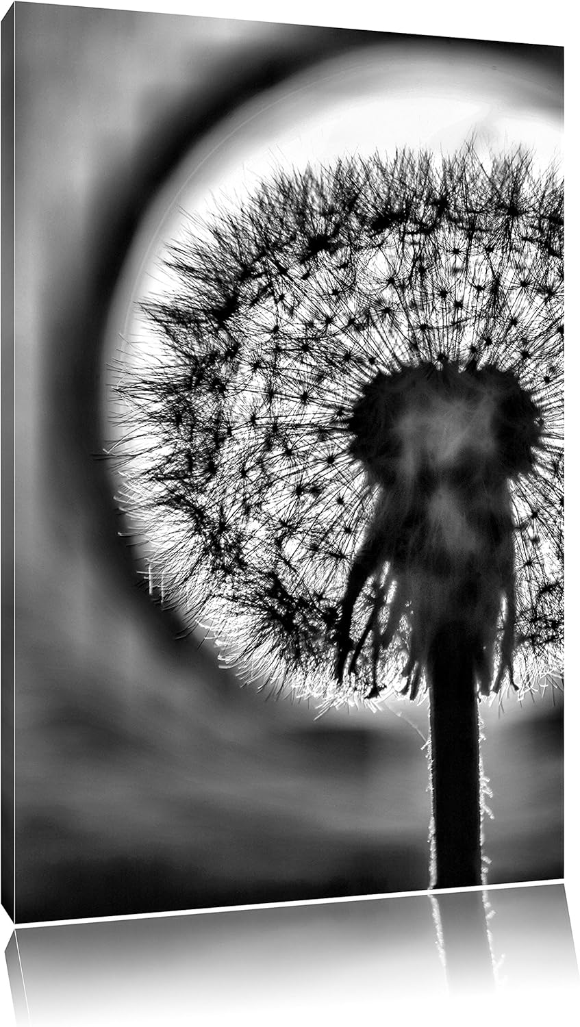 Pixxprint Pusteblume / 100x70cm Leinwandbild bespannt auf Holzrahmen/Wandbild Kunstdruck Dekoration,
