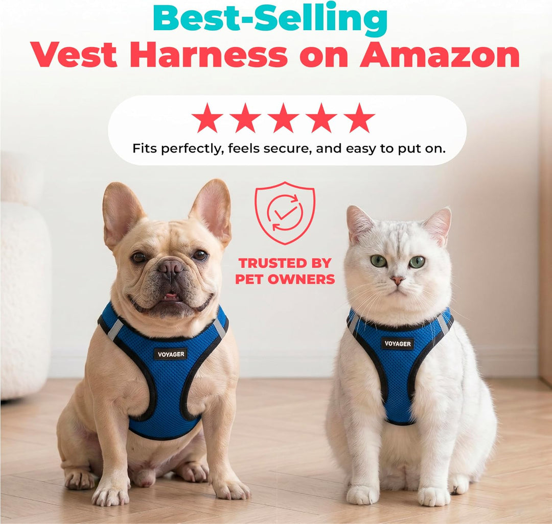 Best Pet Supplies Voyager Step-In Air Hundegeschirr – Allwetter-Netz-Weste für kleine und mittelgros
