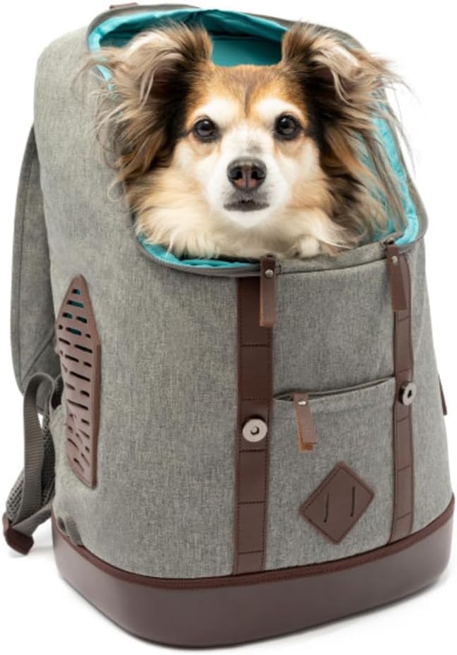 Kurgo Rucksack, Mit speziellem Hundefach, Atmungsaktives Netz und Wasserfester Boden, Für Haustiere