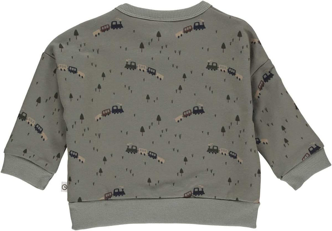 Müsli by Green Cotton Boy's Train Baby Sweatshirt, Basil, 68