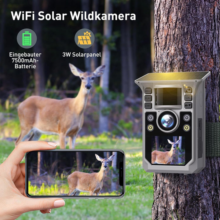 Wildkamera mit Handyübertragung APP, Solar WLAN 4K HD Video 64MP Eingebaute 7500mAh Wiederaufladbare