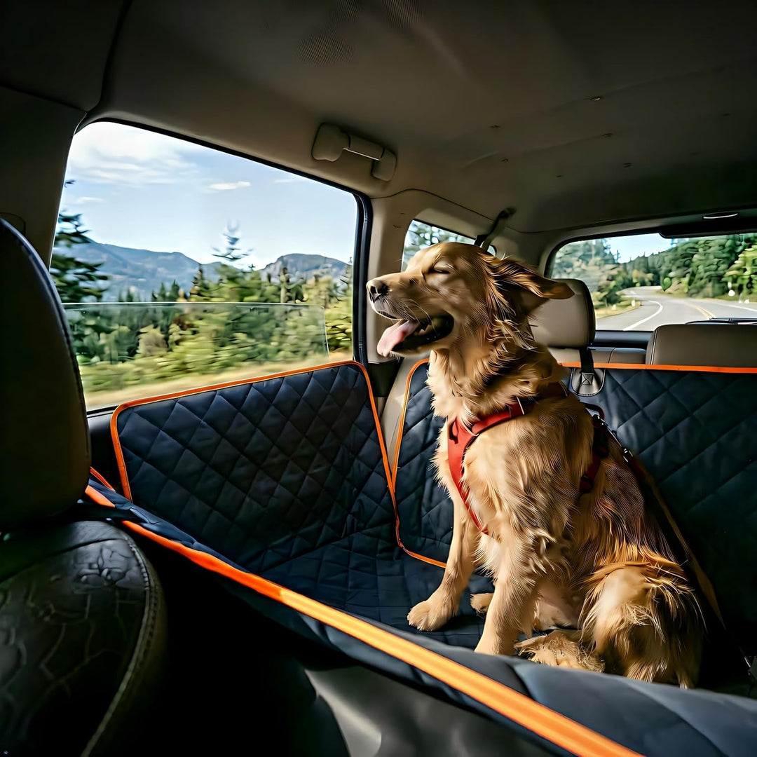 iBuddy Hundedecke für Auto Rücksitz, wasserdichtes Autoschondecke Kratzfest rutschfest Abriebfest mi