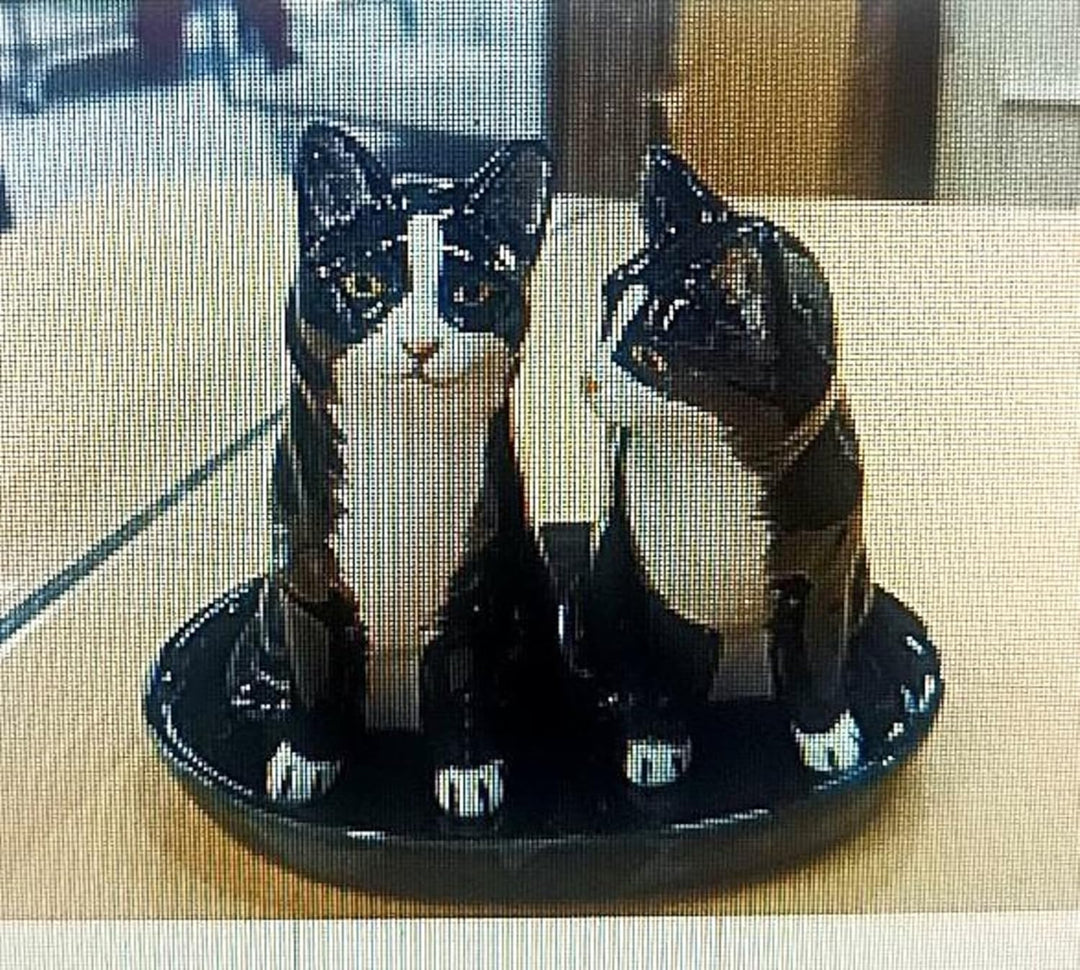 Keramik Salz und Pfefferstreuer Set Katzen Motiv (schwarz weiss), Schwarz Weiss