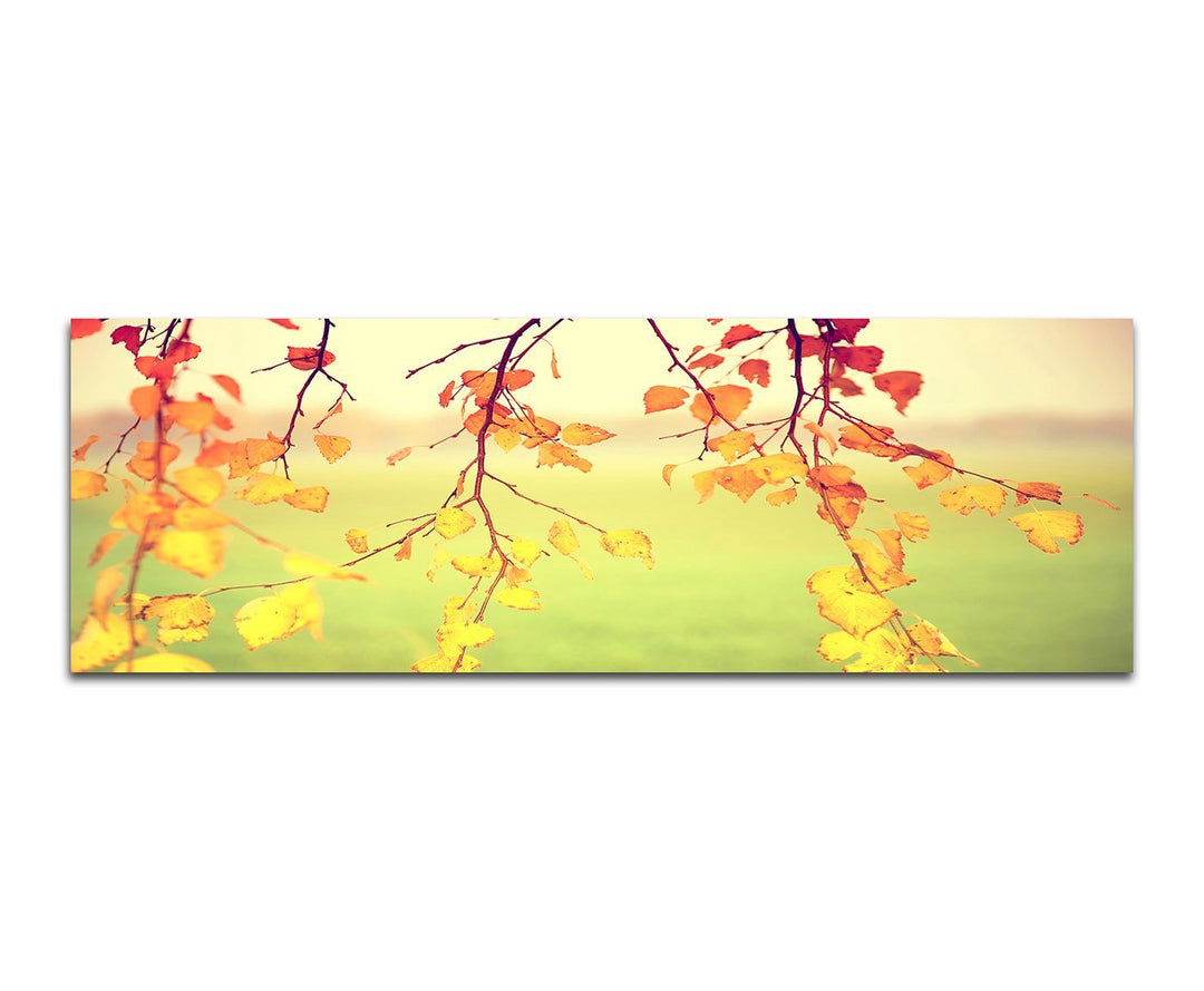 Paul Sinus Art Bilder Wand Bild - Kunstdruck 150x50cm Blätter Äste Herbst bunt