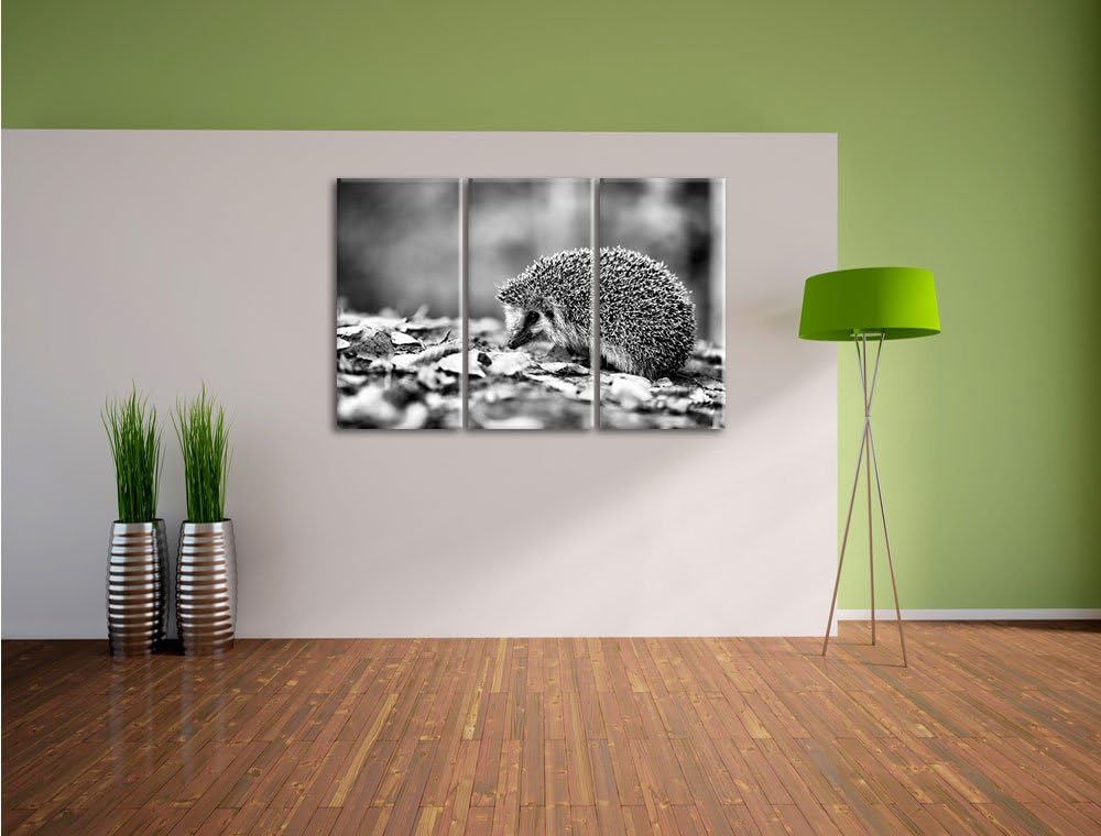Pixxprint Igel im Laub als Leinwandbild/Grösse: 3 Teilig (120x80) cm/Wandbild/Kunstdruck/fertig besp