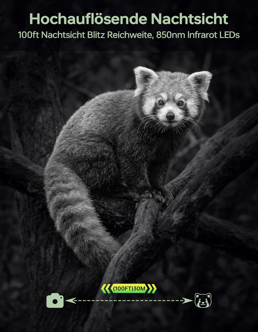 Wildkamera mit Handyübertragung App,Wildtierkamera 4K 64MP WLAN Solar mit Lithium-Batterie, Bewegung