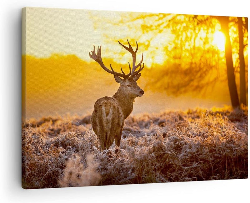 Bilder auf Leinwand Herbst landschaft natur blatt Leinwandbild 70x50cm Wandbilder Dekoration Wohnzim