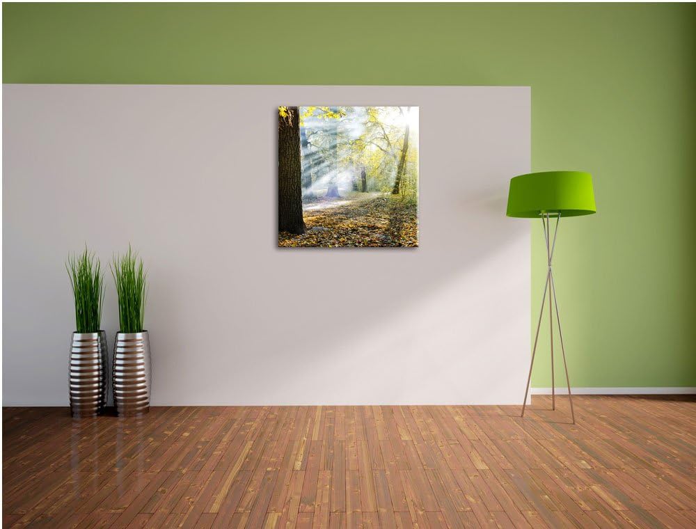 Sonnenstrahlen im Wald, Format: 70x70 auf Leinwand, XXL riesige Bilder fertig gerahmt mit Keilrahmen