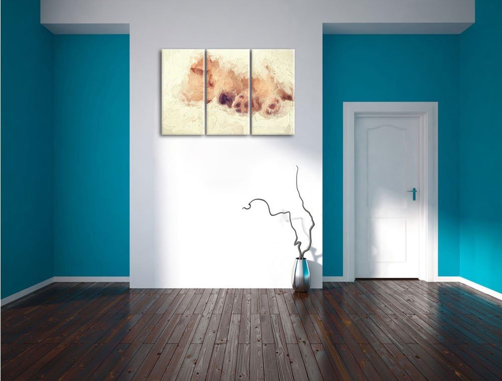 Pixxprint Kleiner schlafender Welpe Kunst als Leinwandbild 3 teilig/Grösse: 3 Teilig (120x80) / Wand