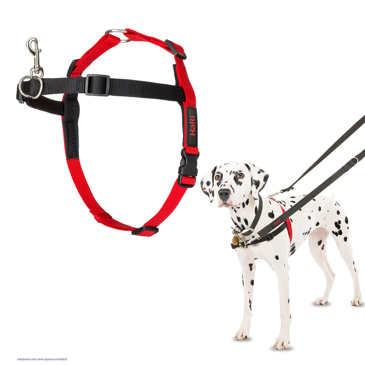 HALTI Front Control Anti-Zug Geschirr, Grösse Mittel - Verhindert, dass Ihr Hund an der Leine zieht,