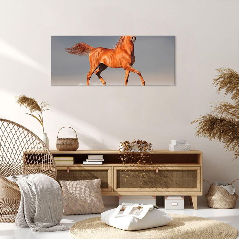 Bilder auf Leinwand 100x40cm Leinwandbild Tiere Pferd Galopp Geschwindigkeit Gross Wanddeko Bild Sch