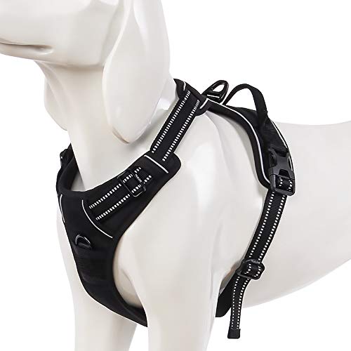 WINHYEPET Truelove Hundegeschirr No-Pull Reflektierendes verstellbar Haustiergeschirr mit 2 Leinencl