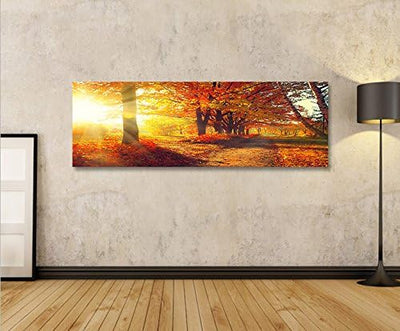 islandburner Bild Bilder auf Leinwand Wald Sonne V2 Panorama XXL Poster Leinwandbild Wandbild Dekoar