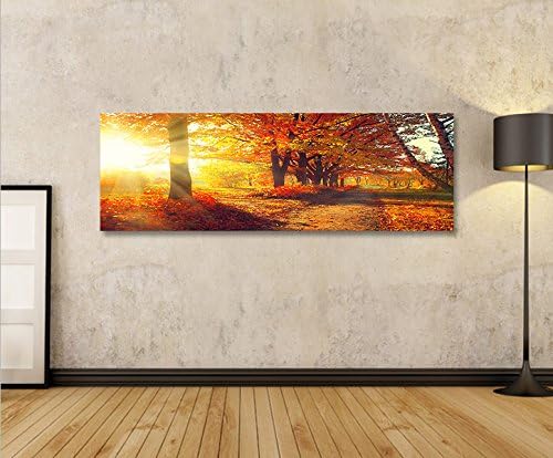 islandburner Bild Bilder auf Leinwand Wald Sonne V2 Panorama XXL Poster Leinwandbild Wandbild Dekoar