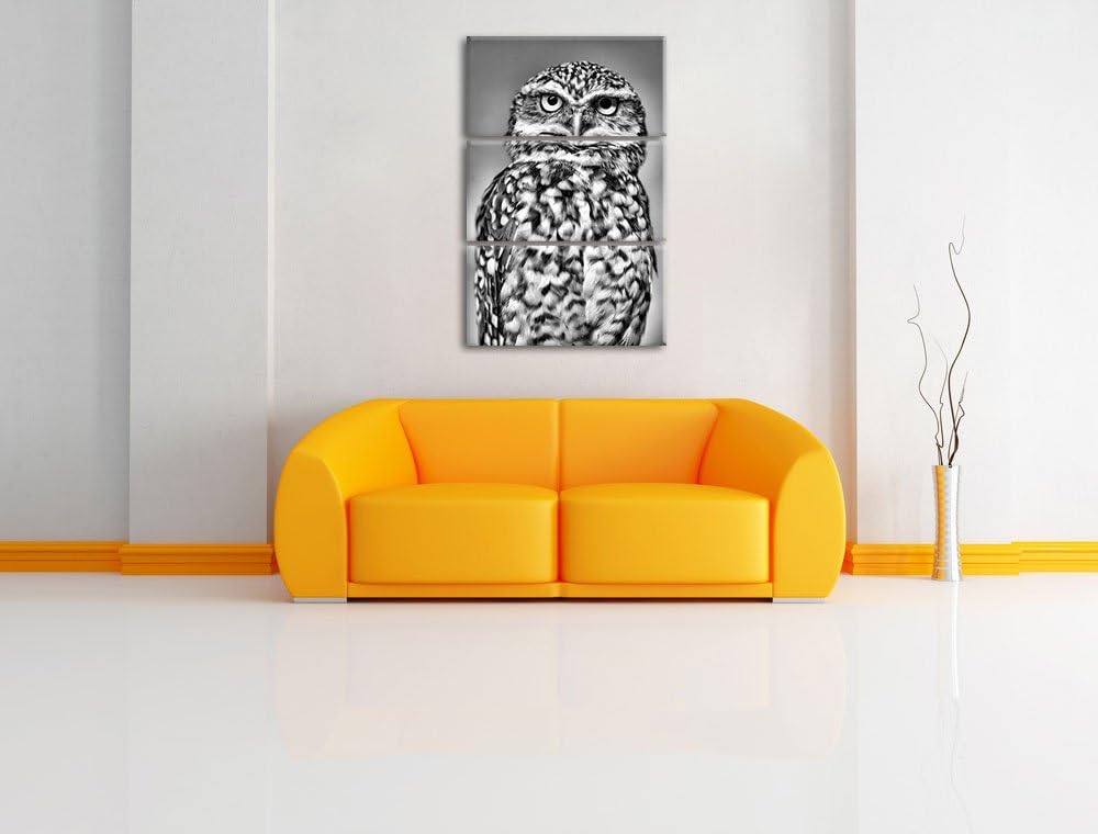Pixxprint kleine Eule als Leinwandbild/Grösse: 3 Teilig (120x80) cm/Wandbild/Kunstdruck/fertig bespa