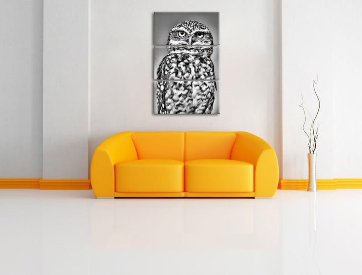 Pixxprint kleine Eule als Leinwandbild/Grösse: 3 Teilig (120x80) cm/Wandbild/Kunstdruck/fertig bespa