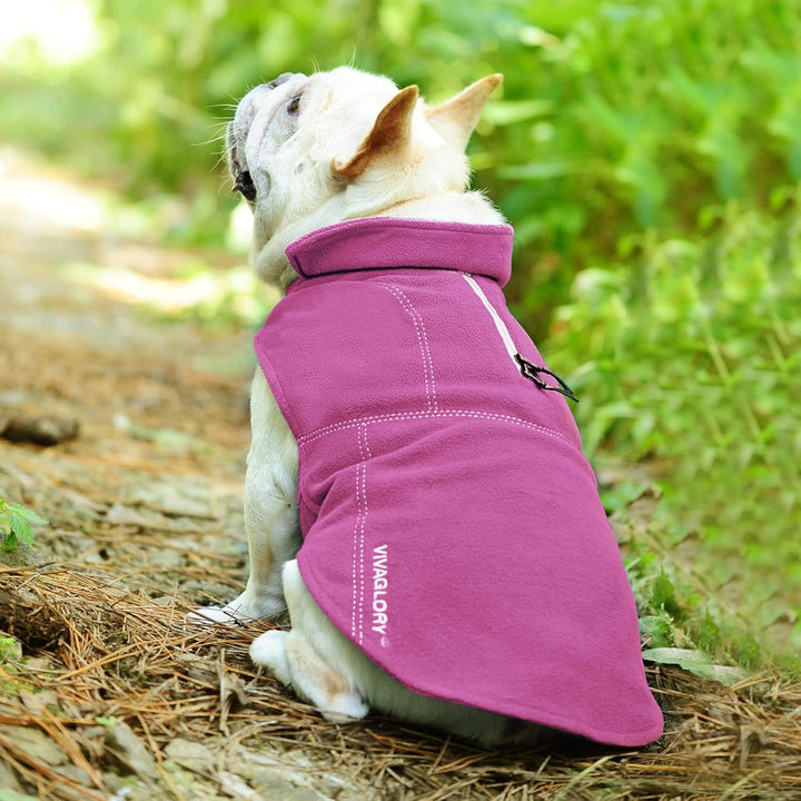 VIVAGLORY Softpad Wintermantel Hund, Hundepullover Fleece, Hundemantel mit Bauchschutz & Klettversch