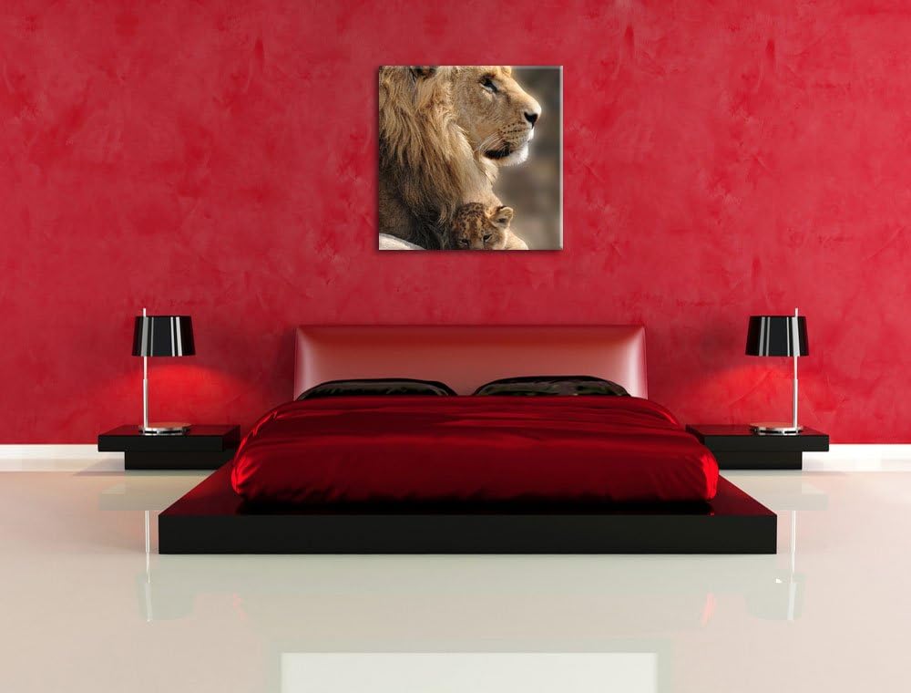 Löwe mit Löwenbaby, Format: 70x70 auf Leinwand, XXL riesige Bilder fertig gerahmt mit Keilrahmen, Ku