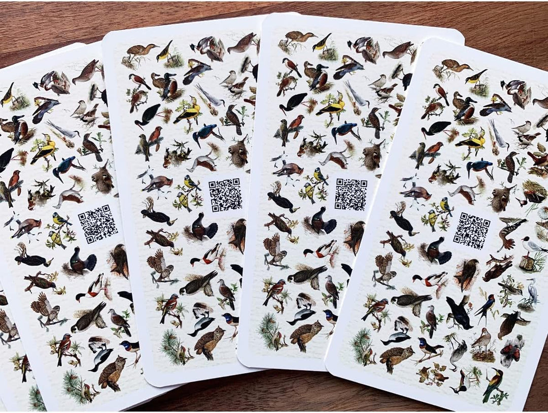 Vogelquartett "Fliegende Edelsteine" - Kartenspiel in Tarokartengrösse - 56 Spielkarten mit QR-Codes