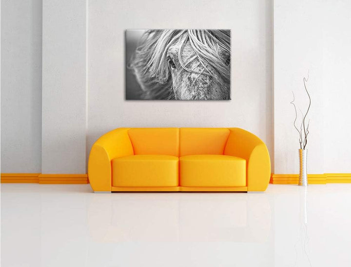 Pixxprint Islandpony in den Westfjorden als Leinwandbild/Grösse: 100x70 cm/Wandbild/Kunstdruck/ferti