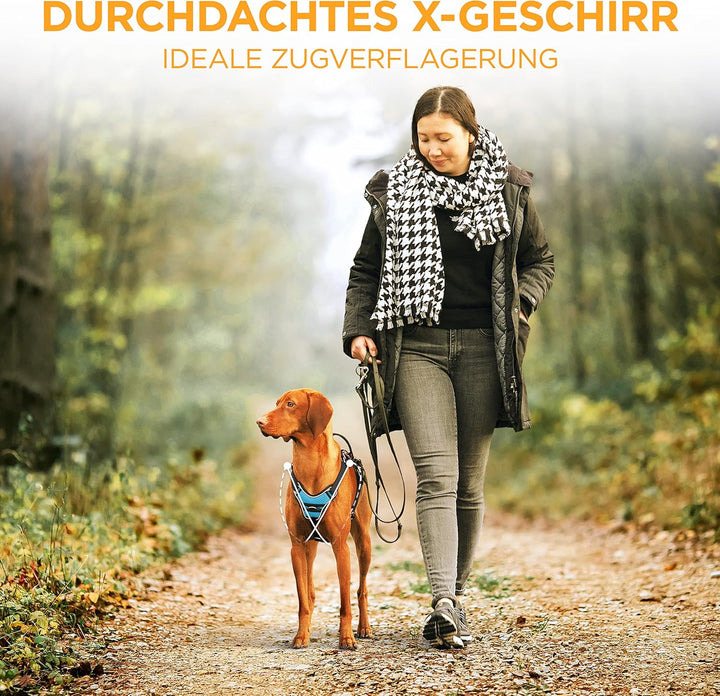 Tierhood - Hundegeschirr für kleine, mittel und grosse Hunde - [INKL. HALSCLIP] - Geschirr Hund - Si