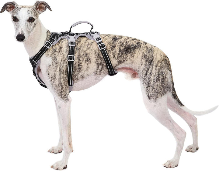Hunde Sicherheitsgeschirr, Rutschfestes Hundegeschirr Escape Proof, Reflektierendes Geschirr mit Gri